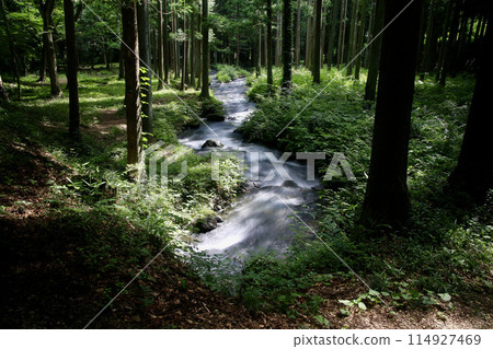 Forests, Streams and Four Seasons Village (Fukushima City, Fukushima Prefecture) 114927469