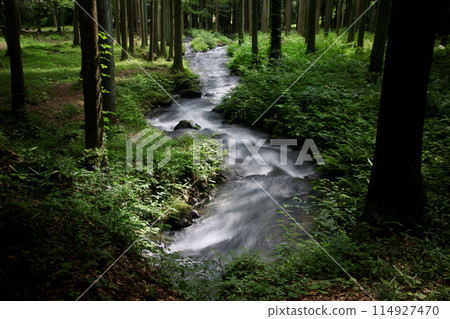 Forests, Streams and Four Seasons Village (Fukushima City, Fukushima Prefecture) Forests, Streams and Four Seasons Village (Fukushima City, Fukushima Prefecture) 114927470