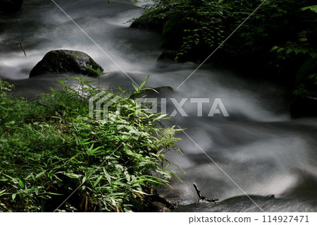 Forests, Streams and Four Seasons Village (Fukushima City, Fukushima Prefecture) Forests, Streams and Four Seasons Village (Fukushima City, Fukushima Prefecture) 114927471