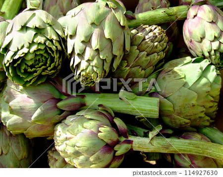 Artichokes 114927630