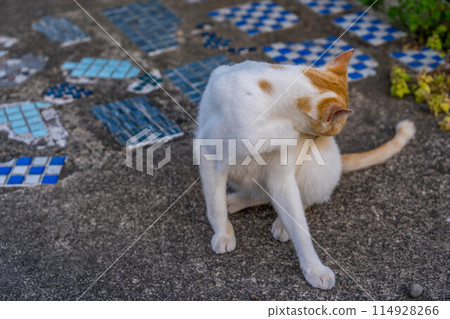 Grooming cat ~Minira~ 114928266