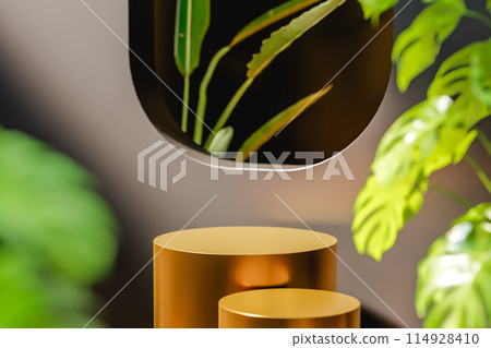 Stylish wall with opening and green leaves 114928410