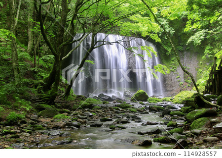 Tatsuzawa Fudo Waterfall in early summer (Inawashiro Town, Fukushima Prefecture) Tatsuzawa Fudo Waterfall in early summer (Inawashiro Town, Fukushima Prefecture) 114928557
