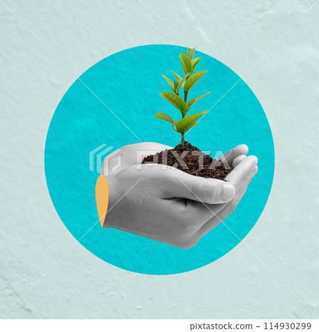 A human hand holding a green plant on fertile soil A human hand holding a green plant on fertile soil 114930299