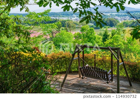 美麗的綠色村莊花園紅山石南花森林<三重縣津市> 114930732