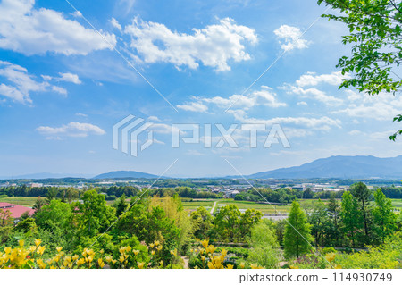 Red Hill Heather Forest, a beautiful green Satoyama garden (Tsu City, Mie Prefecture) 114930749