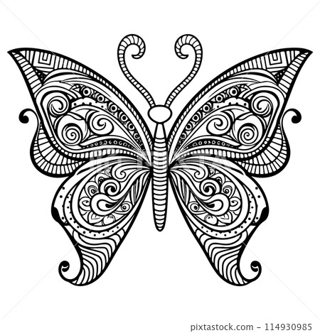 Doodle Ornate Butterfly, Adult Coloring Page Template. Doodle Ornate Butterfly, Adult Coloring Page Template. 114930985
