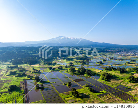 Mt. Chokai and Kujukushima in the early morning (Nikaho City, Akita Prefecture) 114930996