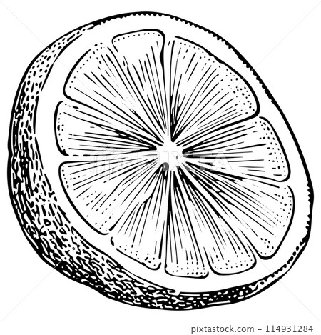 Hand Drawn Lemon Slice. Sketched Citrus Design Element. Hand Drawn Lemon Slice. Sketched Citrus Design Element. 114931284