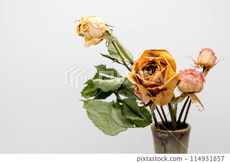 Dried flower (rose) Dried flower (rose) 114931857