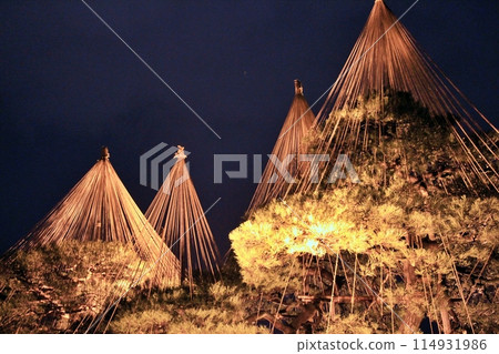 Night view of Kenrokuen Garden in Kanazawa 114931986