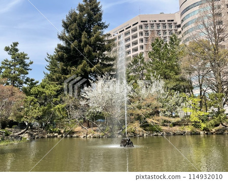 A park with a pond A park with a pond 114932010