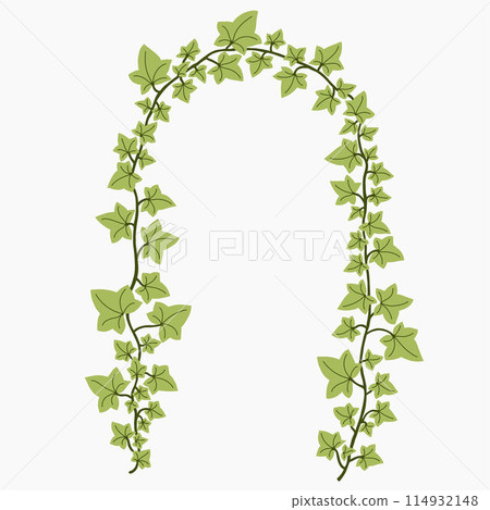 Floral ivy drawing decorative ornament flat design. 114932148