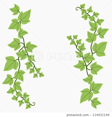 Floral ivy drawing decorative ornament flat design. 114932149
