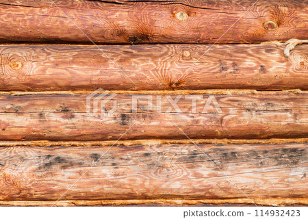 Beautiful new wooden house in the garden with decoration 114932423