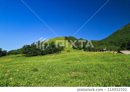 Nikko Kishge (Nikko city) in Kiritokogen 114932502