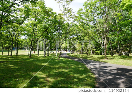 Lush park Lush park 114932524