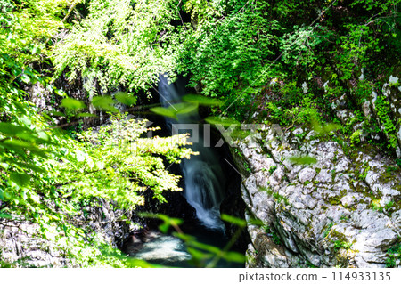 愛媛郡上幸奈郡熊高原町錦木瀑布 夏季奧莫戈峽谷 3 愛媛郡上幸奈郡熊高原町錦木瀑布 夏季奧莫戈峽谷 3 114933135