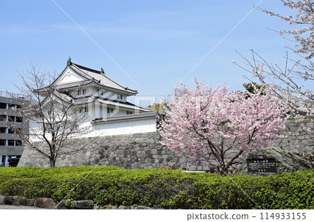 Kun-yagura Tower and Somei-Yoshino cherry blossoms at Sunpu Castle Park Kun-yagura Tower and Somei-Yoshino cherry blossoms at Sunpu Castle Park 114933155