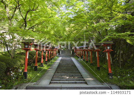 鞍馬寺參道的新綠與楓樹與燈籠令人眼花撩亂，水平構圖4 114933171