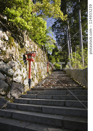 鞍馬寺，美麗的陽光透過樹木，垂直構圖 2 114933239