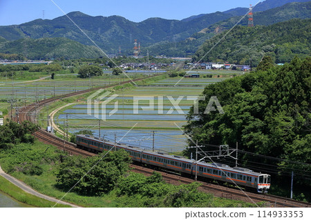 311 series train running on the Tokaido Main Line in early summer 311 series train running on the Tokaido Main Line in early summer 114933353