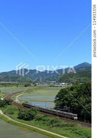 311 series train running on the Tokaido Main Line in early summer 311 series train running on the Tokaido Main Line in early summer 114933356
