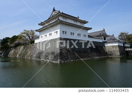 Tatsumi Tower and Moat at Sunpu Castle Park Tatsumi Tower and Moat at Sunpu Castle Park 114933435