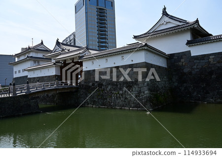 Sumpu Castle Park's Tatsumi Tower and East Gate Sumpu Castle Park's Tatsumi Tower and East Gate 114933694