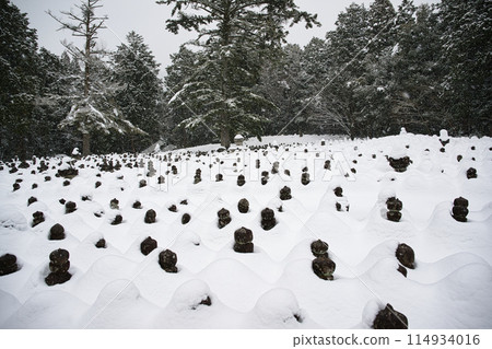 Snow scene at Injoji Temple, Shiga Prefecture 114934016