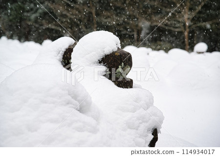 Snow scene at Injoji Temple, Shiga Prefecture 114934017