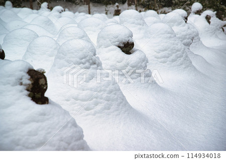 Snow scene at Injoji Temple, Shiga Prefecture 114934018