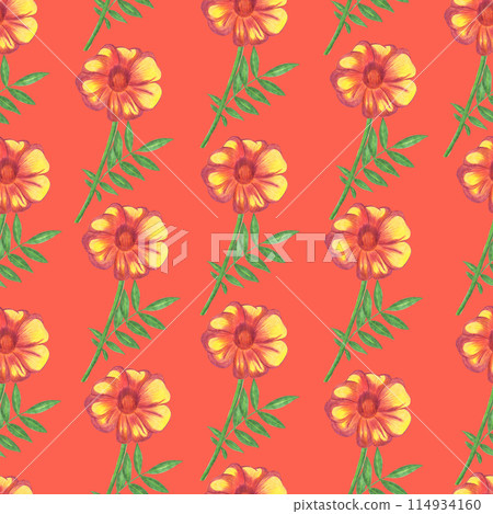 Marigold Flower Seamless Pattern. Floral Digital Paper. 114934160
