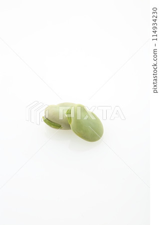 2顆蠶豆 2顆蠶豆 114934230