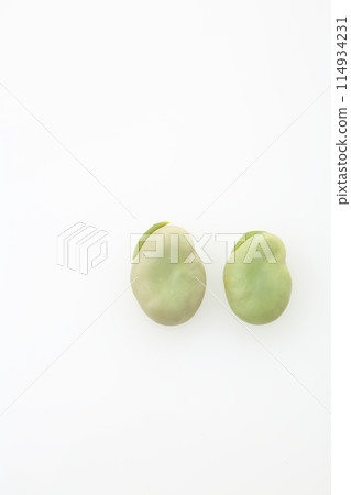 2 顆蠶豆 114934231