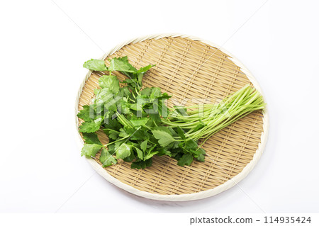 將三葉線放置在白色背景的托盤中 114935424