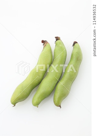 蠶豆 114936532