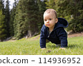 Baby boy playing outside on green grass in lush Canadian Nature. 114936952