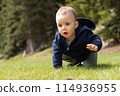 Baby boy playing outside on green grass in lush Canadian Nature. 114936955