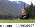 Baby boy playing outside on green grass in lush Canadian Nature. 114936957