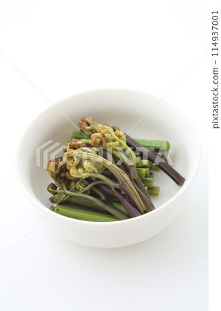 Occasion of bracken 114937001