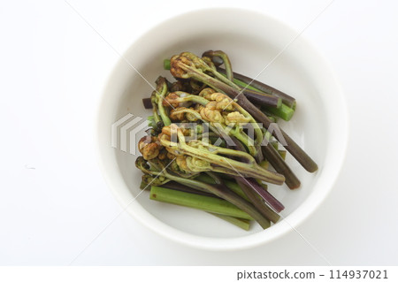 蕨菜 ohitashi 俯視圖 114937021