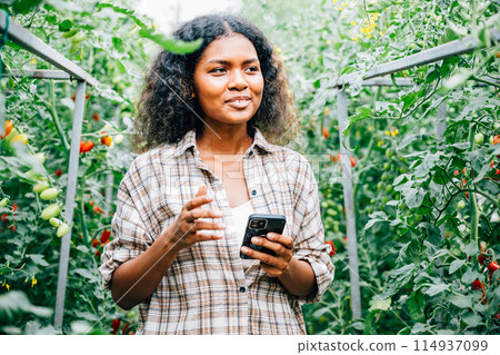 Greenhouse owner, smiling woman, talks on phone, holding tomatoes. Business communication for farm orders. Nature's growth, modern technology connect. 114937099