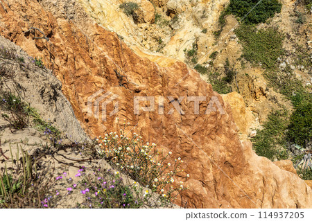 Praia da Marinha Beach among rock islets and cliffs seen from Seven Hanging Valleys Trail, Algarve, Portugal 114937205