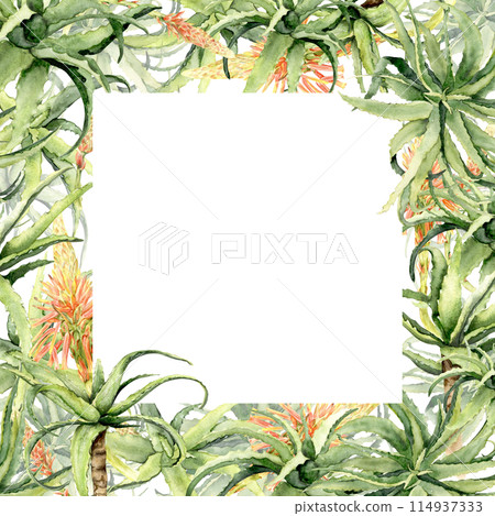 aloe vera square frame aloe vera square frame 114937333