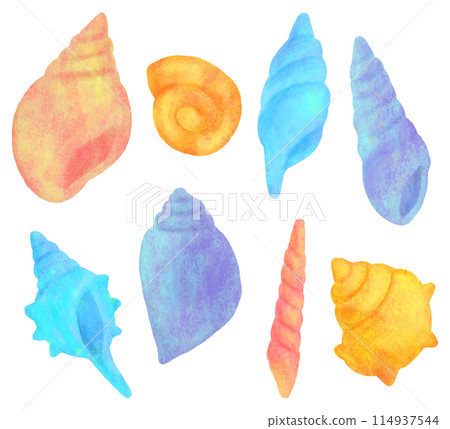 Colorful conch shell illustration set 114937544