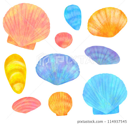 Cute bivalve shell illustration set 114937545
