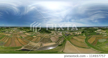 Aerial view of rice terraces after rice planting Aerial view of rice terraces after rice planting 114937757
