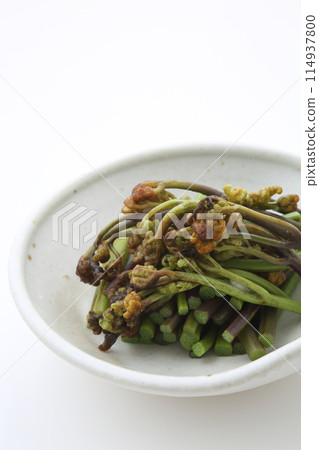 蕨菜的場合 蕨菜的場合 114937800