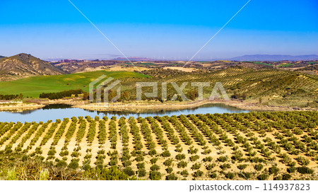 Spanish nature landscape in Andalucia. Spanish nature landscape in Andalucia. 114937823